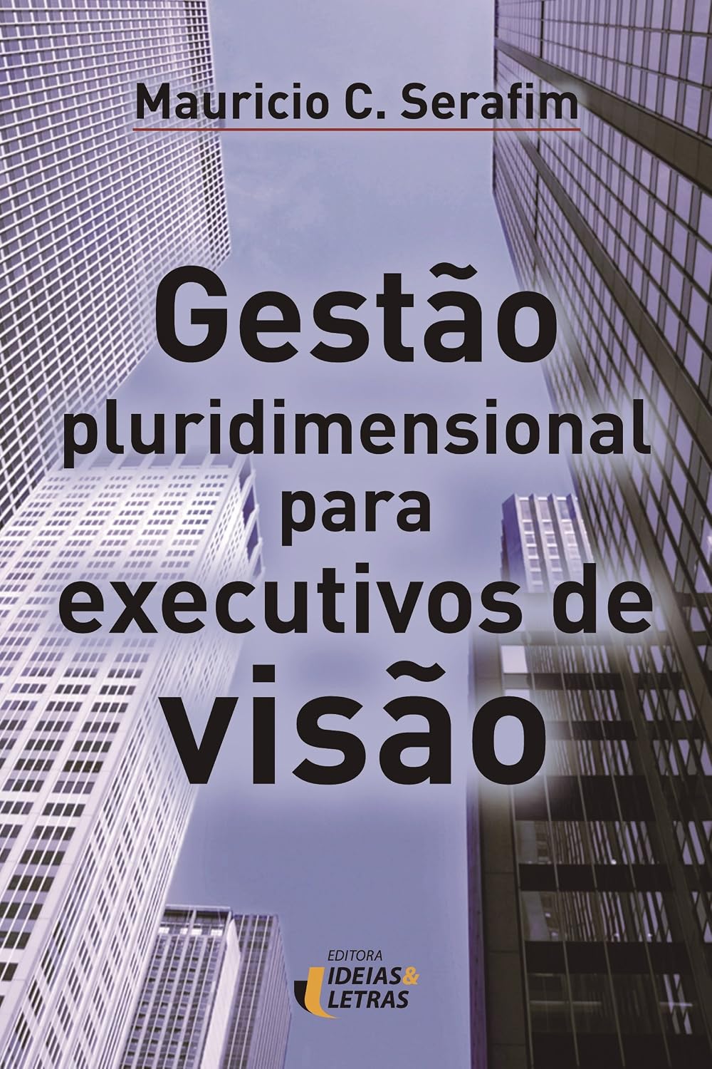 Capa do livro Gestão Pluridimensional Para Executivos de Visão
